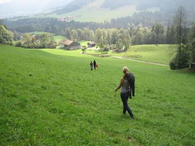 Blick auf den Almbauernhof