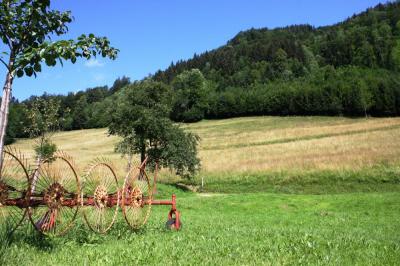 Wiesen und Weiden hinter dem Haus!